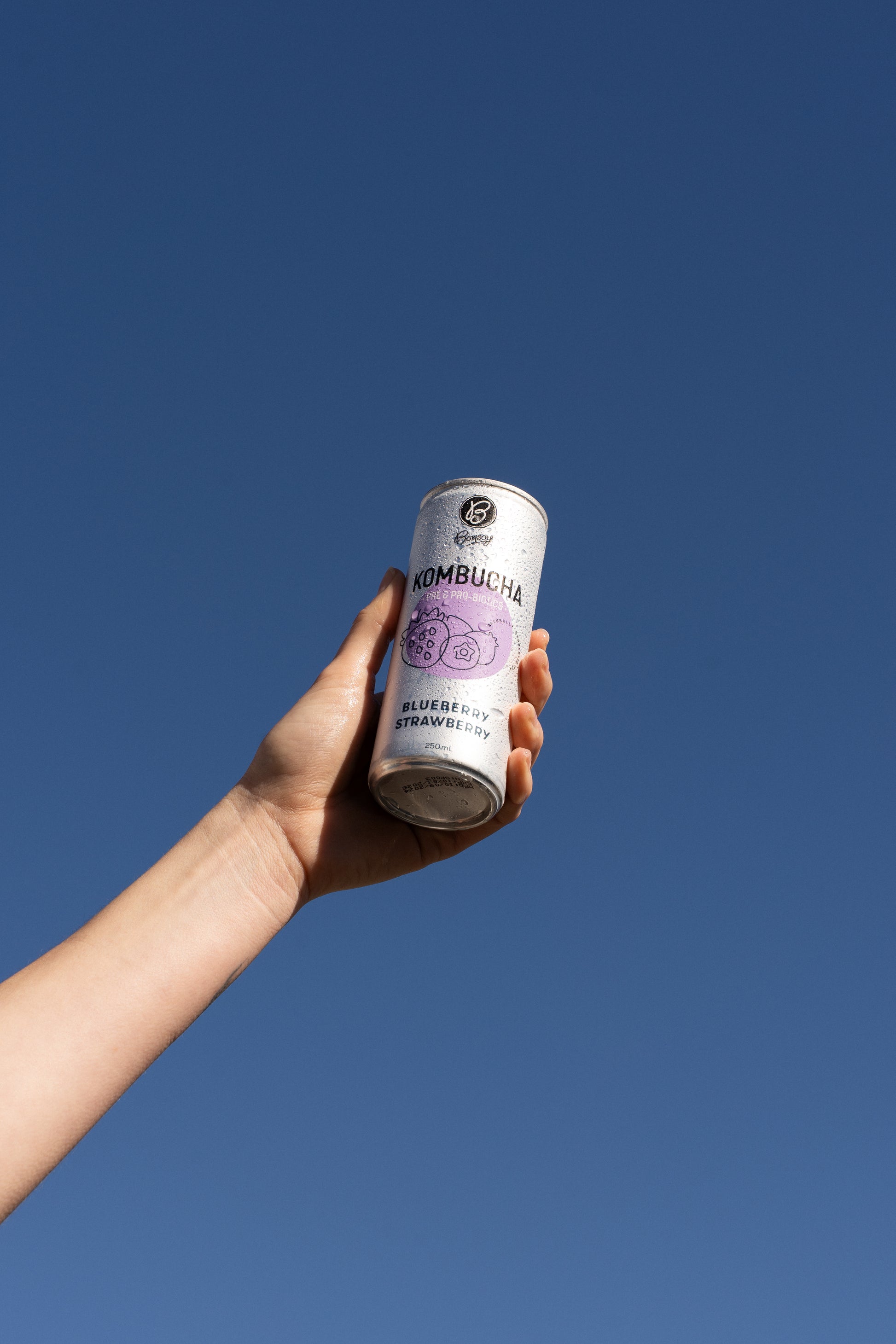 Bonsoy Blueberry & Strawberry Kombucha